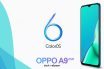 Oppo A9 2020 (oppo A11x) stock wallpapers hd