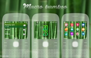 Bamboo theme for Nokia C3-00 x2-01 asha 210 302 200